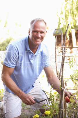 Man Relaxing In Garden