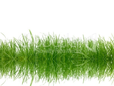 Green Grass