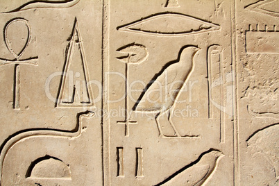 ancient egypt images and hieroglyphics