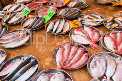 fresh fish at a fish market