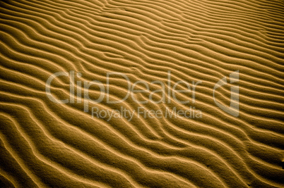 highly detailed texture of sand dunes