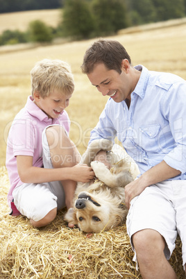 Father And Son Sitting With Dog On Straw Bales In Harvested Fiel