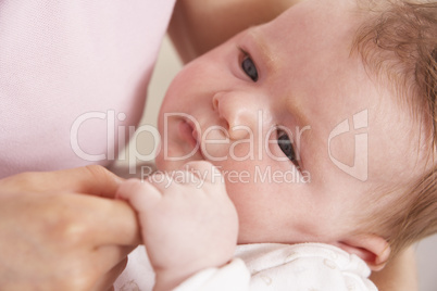 Close Up Of Baby Boy Holding Mothers Hand