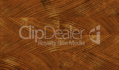 seamless pine texture