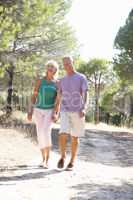 Senior couple, holding hands, walking,walk in park