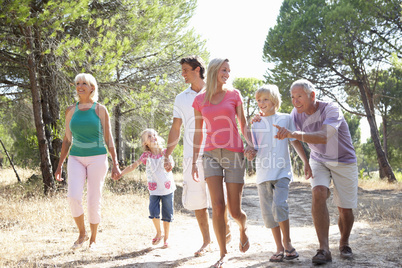 A family, with parents, children and grandparents