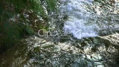 Pure fresh water waterfall in forest