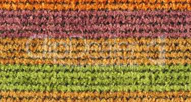 Colorful Woven Texture