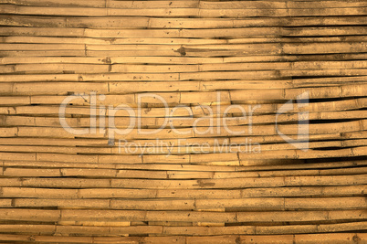 bamboo background