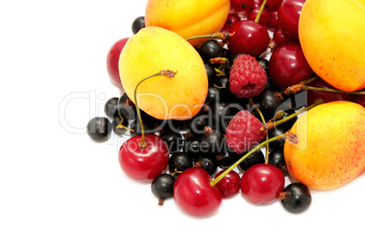 fruits