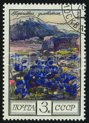 postage stamp postage stamp