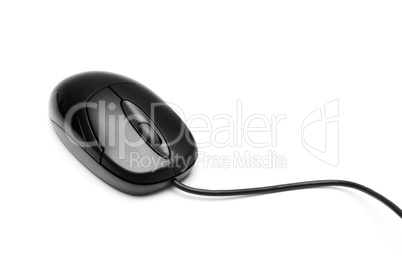 computer mouse