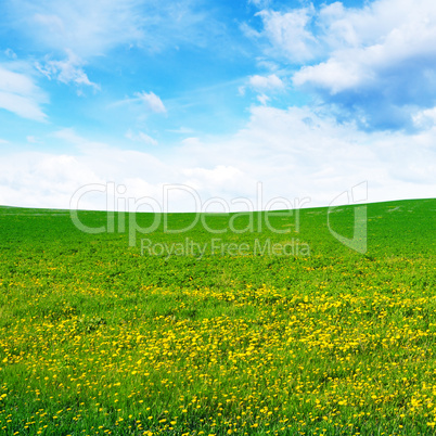 spring field