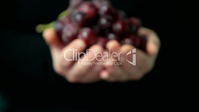 Sweet red grapes in woman hands