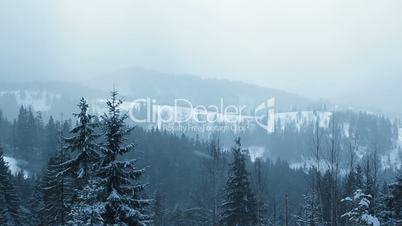 Snow Falling in Carpathians (Full HD)