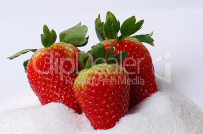 Erdbeeren   Strawberry
