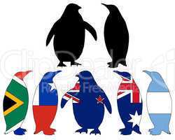 Pinguin Flaggen