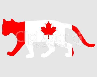 Puma Kanada