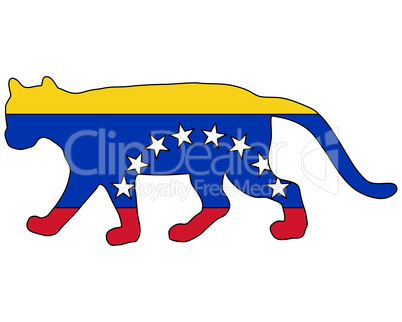 Puma Venezuela