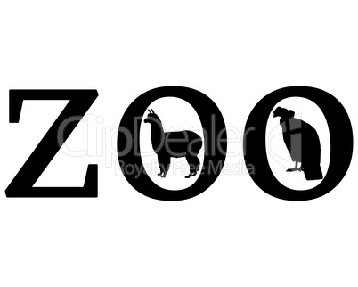 Zoo Tiere