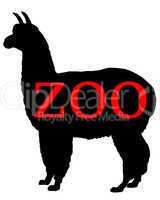 Zoo Tiere