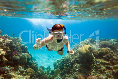 Snorkeler. Red sea