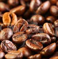 coffee beans