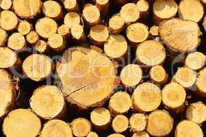 Holzstapel - stack of wood 34