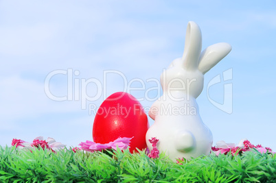 Osterhase auf Blumenwiese - easter bunny on flower meadow 02