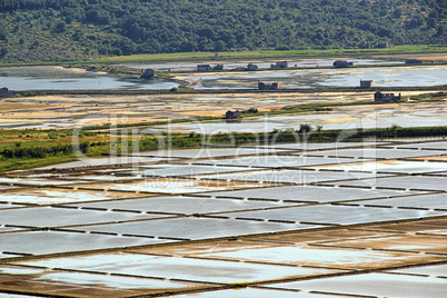 Piran Saline 01