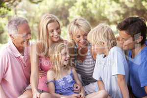 A family, with parents, children and grandparents, relaxing in a