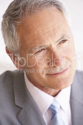 Portrait Of Senior Businessman