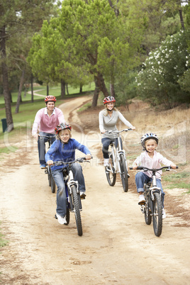 Family enjoying bike ride in park