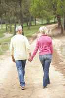 Senior Couple enjoying walk in park