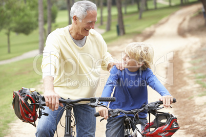 Grandfather and grandson riding bicycle in park