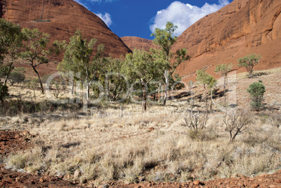 Colors of Australian Outback during Winter Season