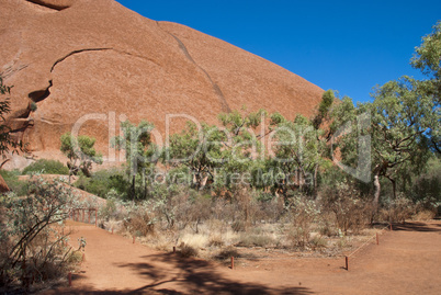 Rocks and Vegetation in the Australian Outback