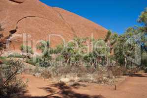 Rocks and Vegetation in the Australian Outback