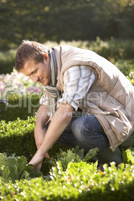 Young man working in garden