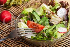 Nahaufnahme von frischem gemischten Salat