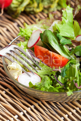 Nahaufnahme von frischem gemischten Salat