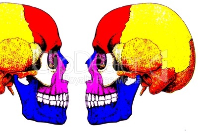 Köpfchen/ the colourful skulls