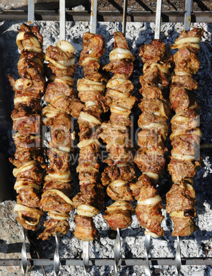 Prepared shish kebab at the campfire
