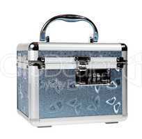 Silvery suitcase on the white background