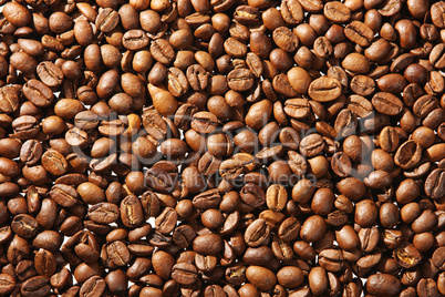 texture of the coffee beans