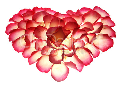 Heart from the petals of rose