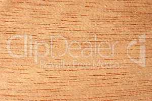texture of umber brown wood tree