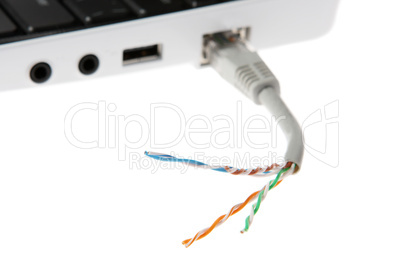 torn network cable closeup, patch cable
