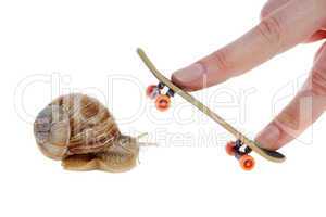 Snail and skateboard for your fingers