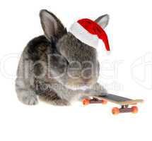Little rabbit on a skateboard in Santa Claus hat